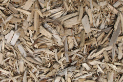 biomass boilers Tylagwyn